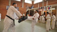 Taekwondo